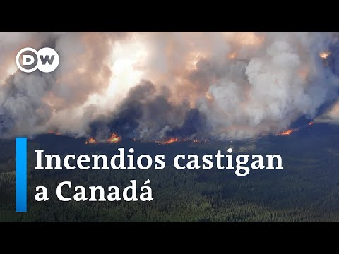 Miles obligados a evacuar por incendio forestal en el este de Canadá