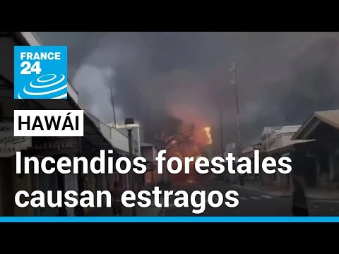 En Hawái, incendios forestales avivados por fuertes vientos causan estragos • FRANCE 24 Español