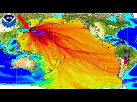 Alerta! Japón comenzará a tirar agua radiactiva al mar