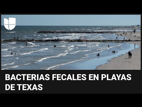 Encuentran bacterias fecales en el 90% de las playas en Texas, advierte un estudio