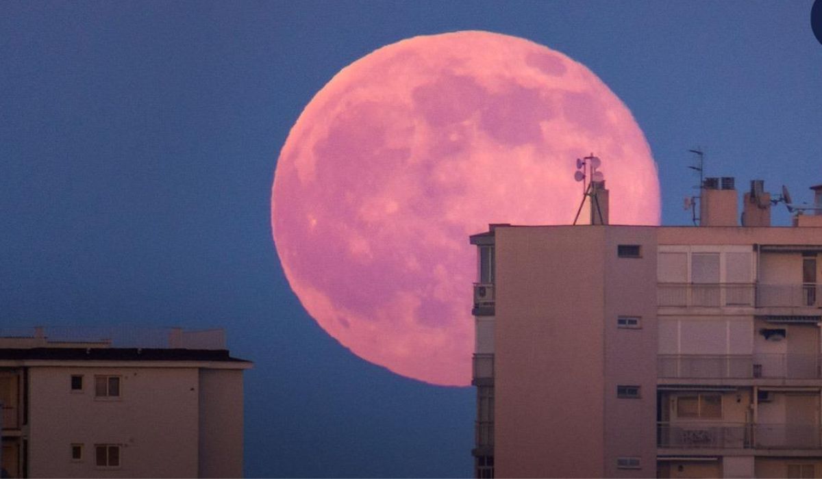 Cuando se podría ver la luna rosa y que podemos hacer para verla