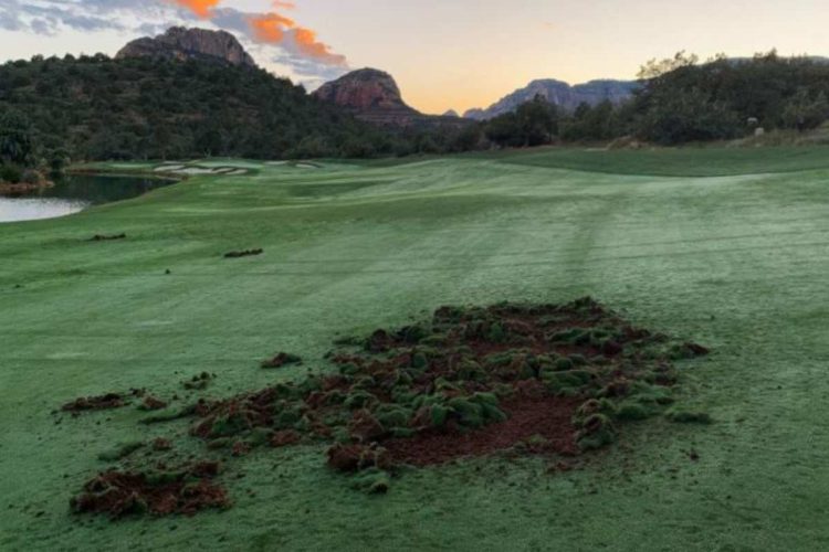 un campo de golf se encuentra bajo ataque en Arizona