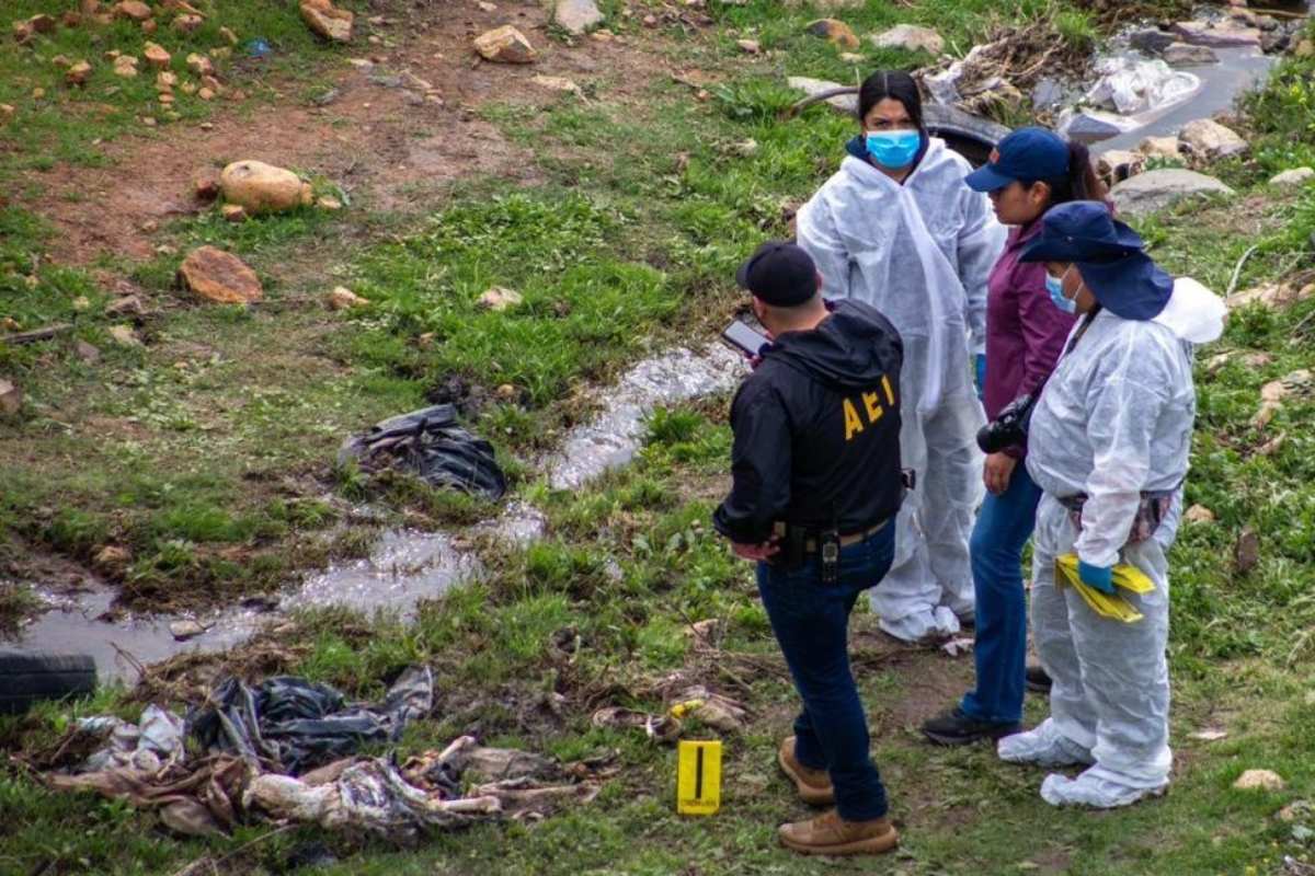 Detienen a cinco personas por los cuerpos encontrados en California