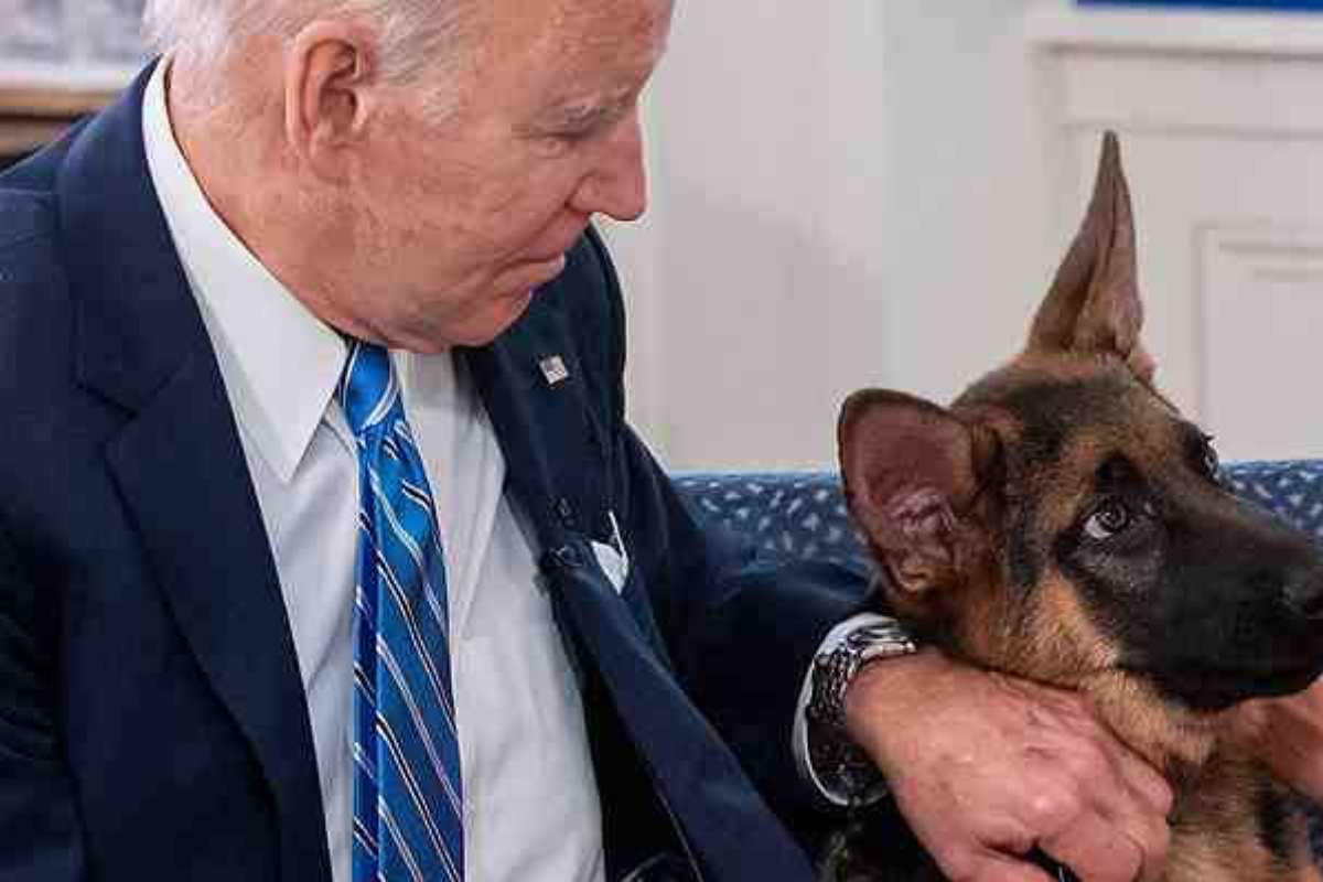 Commander, el perro de Biden, mordió al personal del Servicio Secreto