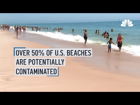 Over half of U.S. beaches are potentially unsafe due to poop contamination | NBC New York