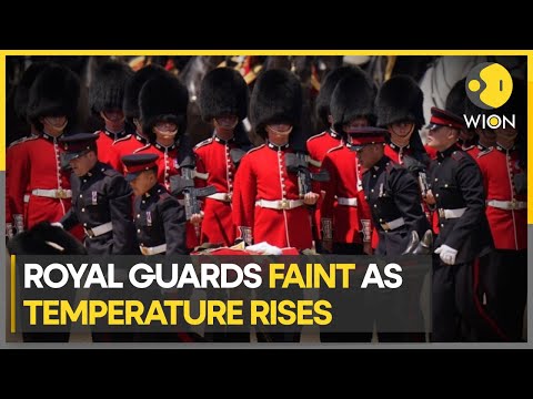 Several British royal guards faint due to heat during ceremony with Prince William | WION