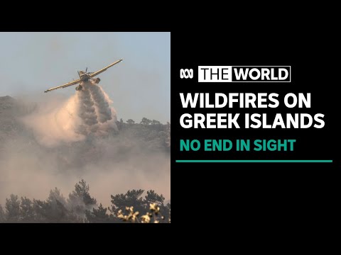 Firefighting plane crashes as infernos rage across Greece | The World