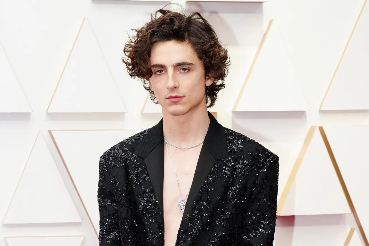 Timothée Chalamet impresses the internet with his outfit on the red carpet of the Venice Film Festival