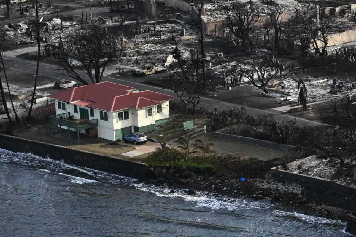 This old wooden house survived the Maui wildfire and went viral
